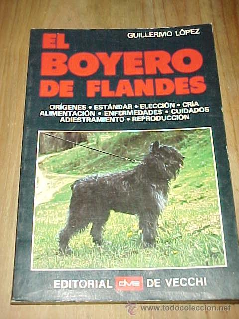 Libros de segunda mano: EL BOYERO DE FLANDES. GUILLERMO LOPEZ. * - Foto 1