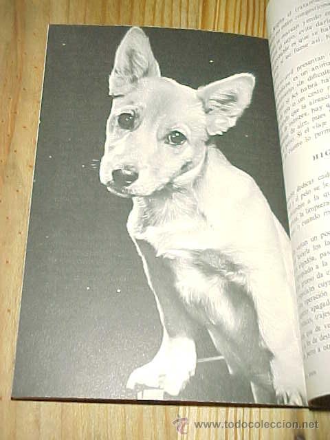 Libros de segunda mano: MIS PERROS. COLECCI&Oacute;N MIS AMIGOS LOS ANIMALES. * - Foto 2