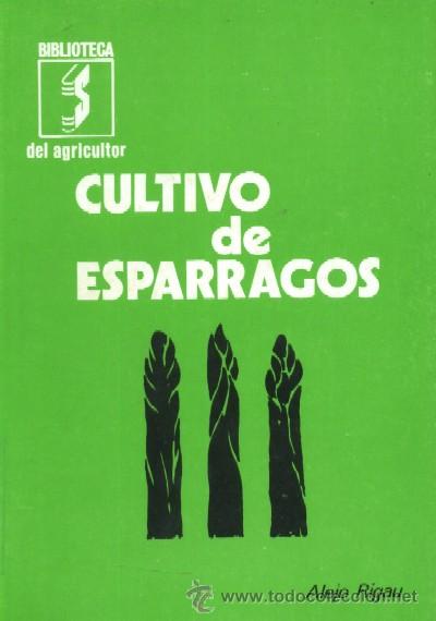 Libros de segunda mano: CULTIVO DE ESPARRAGOS (GYA-19) - Foto 1