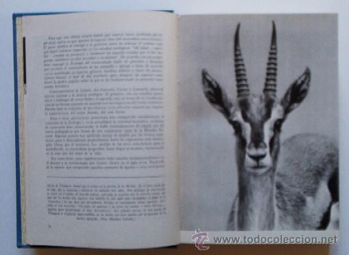 Libros de segunda mano: EL MUNDO VIVIENTE - Foto 4