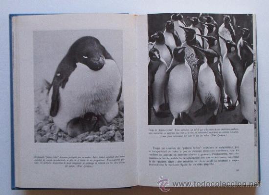 Libros de segunda mano: EL MUNDO VIVIENTE - Foto 5