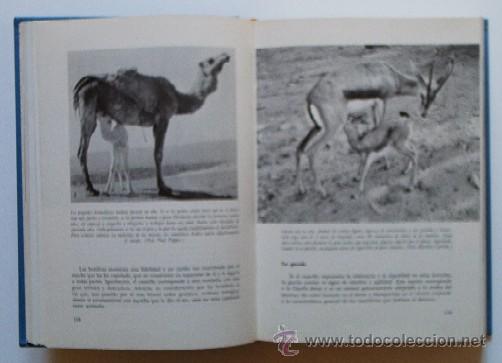Libros de segunda mano: EL MUNDO VIVIENTE - Foto 6