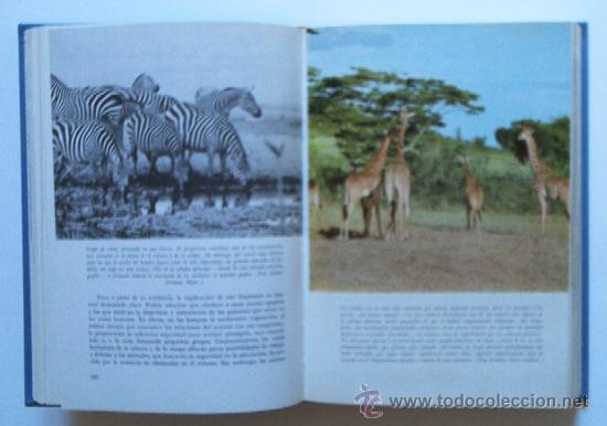 Libros de segunda mano: EL MUNDO VIVIENTE - Foto 7