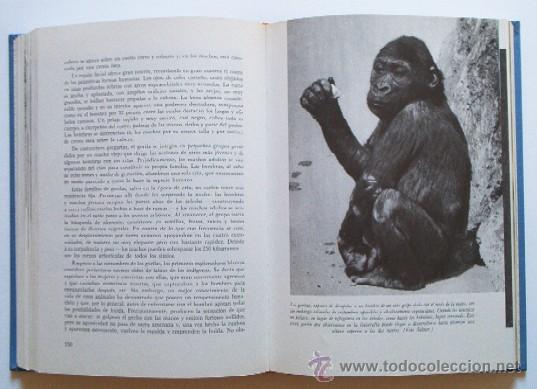 Libros de segunda mano: EL MUNDO VIVIENTE - Foto 9