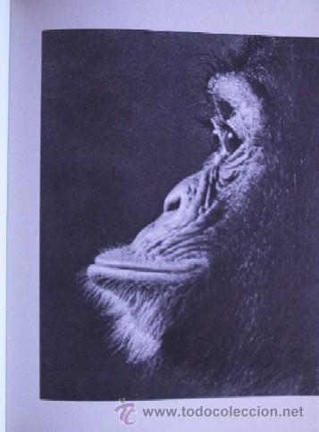 Libros de segunda mano: EL MUNDO VIVIENTE - Foto 10