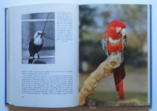 Libros de segunda mano: EL MUNDO VIVIENTE - Foto 11