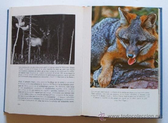 Libros de segunda mano: EL MUNDO VIVIENTE - Foto 12