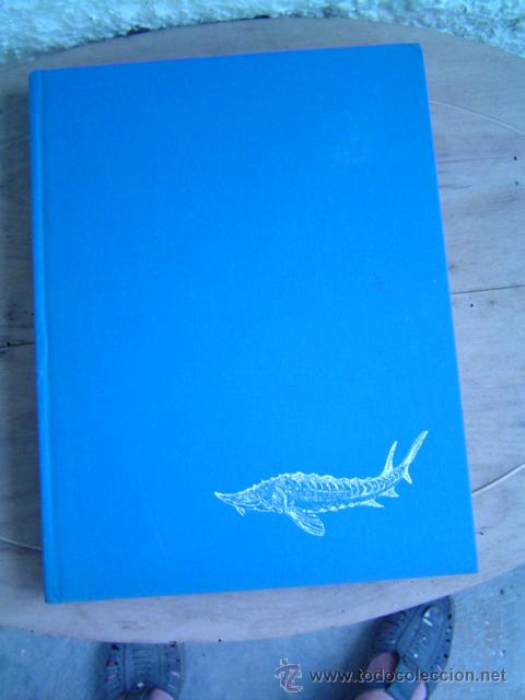 Libros de segunda mano: EL GRAN LIBRO DEL PESCADO - Foto 1
