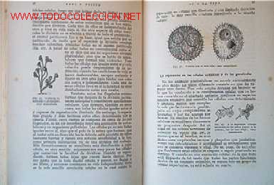 Libros de segunda mano:   - Foto 5