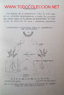 Libros de segunda mano:   - Foto 8
