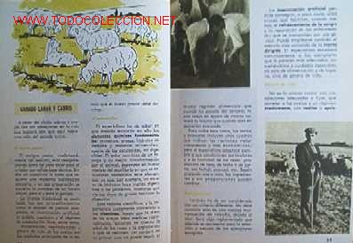 Libros de segunda mano:   - Foto 6