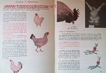 Libros de segunda mano:   - Foto 3