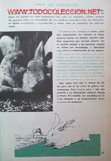 Libros de segunda mano:   - Foto 4