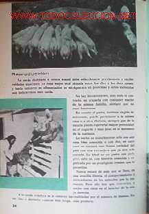 Libros de segunda mano:   - Foto 5