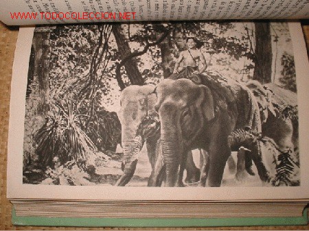 Libros de segunda mano:   - Foto 2