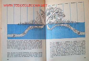 Libros de segunda mano:   - Foto 4