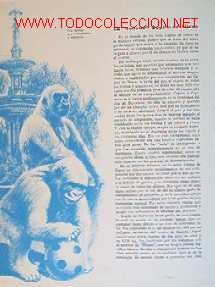 Libros de segunda mano:   - Foto 7