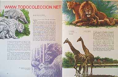 Libros de segunda mano:   - Foto 9