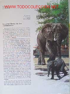 Libros de segunda mano:   - Foto 10