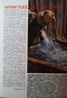 Libros de segunda mano: LA MUERTE DEL AGUA - Foto 7