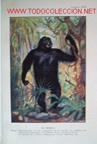 Libros de segunda mano: EL HOMBRE - Foto 6