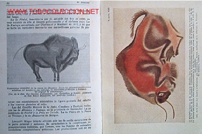 Libros de segunda mano: EL HOMBRE - Foto 7
