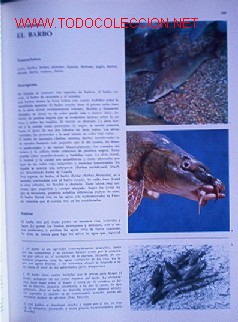 Libros de segunda mano: ENCICLOPEDIA DE LA PESCA - I TOMO - Foto 4