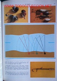 Libros de segunda mano: ENCICLOPEDIA DE LA PESCA - I TOMO - Foto 9