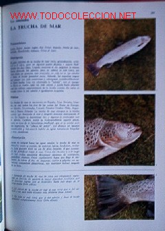 Libros de segunda mano: ENCICLOPEDIA DE LA PESCA - I TOMO - Foto 10