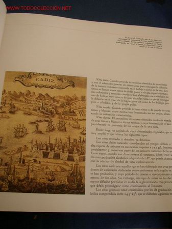 Libros de segunda mano: LOS VINOS DE ESPA&Ntilde;A- CATA- EDC. CASTELL- 1987- - Foto 5