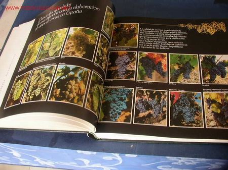 Libros de segunda mano: LOS VINOS DE ESPA&Ntilde;A- CATA- EDC. CASTELL- 1987- - Foto 6