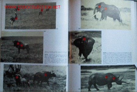 Libros de segunda mano: ARMAS DE CAZA - Foto 11