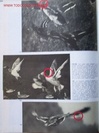 Libros de segunda mano: ARMAS DE CAZA - Foto 10