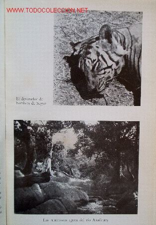 Libros de segunda mano: DEVORADORES DE HOMBRES - PRIMERA EDICION A&Ntilde;O 1955 - Foto 7