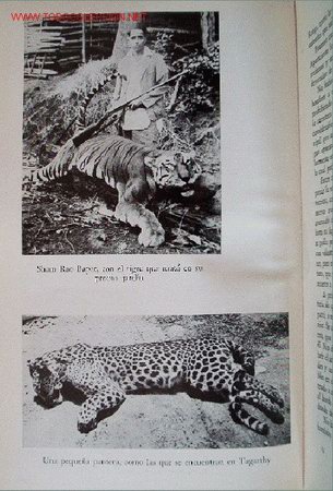 Libros de segunda mano: DEVORADORES DE HOMBRES - PRIMERA EDICION A&Ntilde;O 1955 - Foto 9