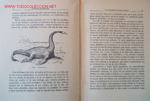 Libros de segunda mano: LOS ANIMALES EXTINGUIDOS - a&ntilde;o 1945 - Foto 4