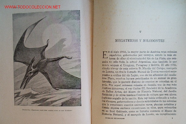 Libros de segunda mano: LOS ANIMALES EXTINGUIDOS - a&ntilde;o 1945 - Foto 6