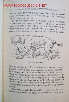 Libros de segunda mano: LOS ANIMALES EXTINGUIDOS - a&ntilde;o 1945 - Foto 7