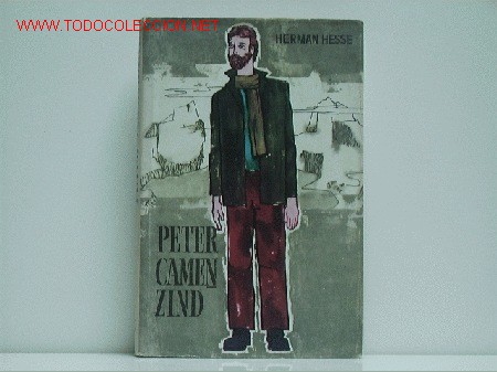 Libros de segunda mano: Peter Camenzind - Foto 1