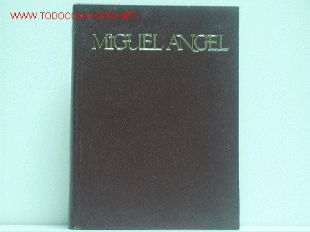 Libros de segunda mano: Miguel Angel - Foto 1