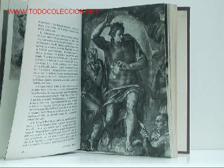 Libros de segunda mano: Miguel Angel - Foto 2