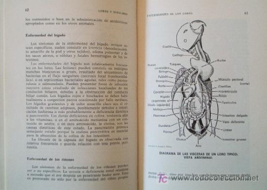 Libros de segunda mano: LOROS Y SIMILARES - Foto 4