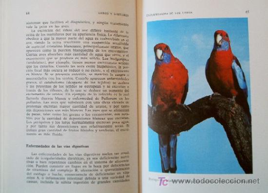 Libros de segunda mano: LOROS Y SIMILARES - Foto 5