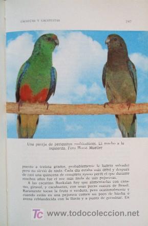 Libros de segunda mano: LOROS Y SIMILARES - Foto 7