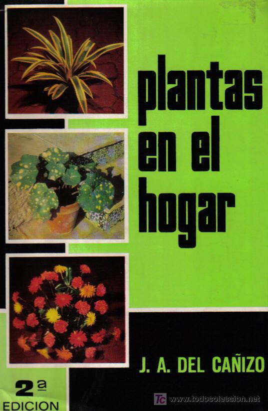 Libros de segunda mano: PLANTAS EN EL HOGAR - de J. A. DEL CA&Ntilde;IZO - a&ntilde;o 1977. - Foto 1