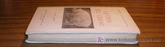 Libros de segunda mano: LA CRIA DEL CERDO -  ELON HERGUEZA (1950) - Foto 12