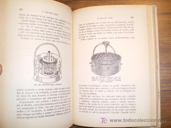 Libros de segunda mano: LA CRIA DEL CERDO -  ELON HERGUEZA (1950) - Foto 11
