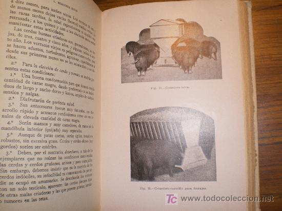 Libros de segunda mano: LA CRIA DEL CERDO -  ELON HERGUEZA (1950) - Foto 10