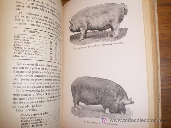 Libros de segunda mano: LA CRIA DEL CERDO -  ELON HERGUEZA (1950) - Foto 9