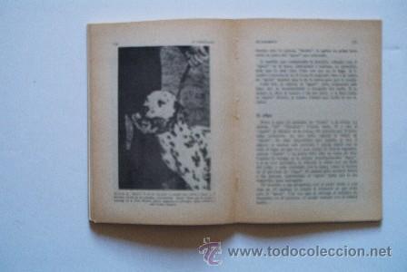 Libros de segunda mano: EL DALMATA - Foto 3